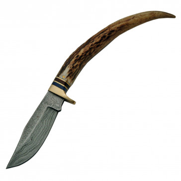 8" Stag Stainless Steel Fixed Blade
