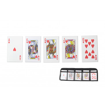 5 Piece Throwing Cards