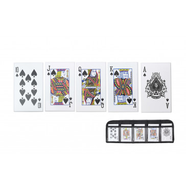 5 Piece Throwing Cards