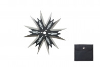 12 Point Throwing Star 