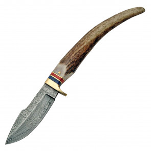 8" Stag Stainless Steel Fixed Blade