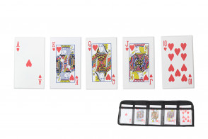 5 Piece Throwing Cards